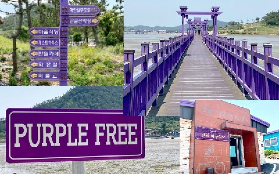 何もかもが紫の島？！韓国に存在する「Purple Island」をご紹介♪