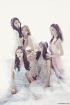 STELLAR、7年目で解散へ