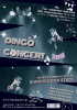 DINGO、Solo Concert開催決定！