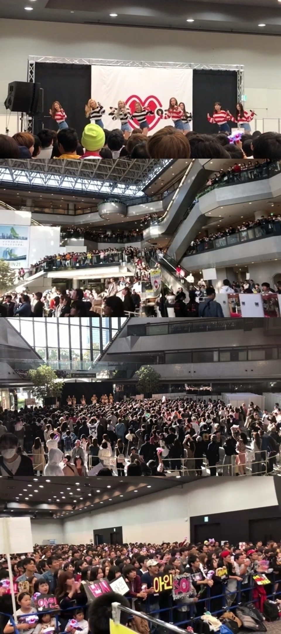 MOMOLAND、日本での活動が大盛況