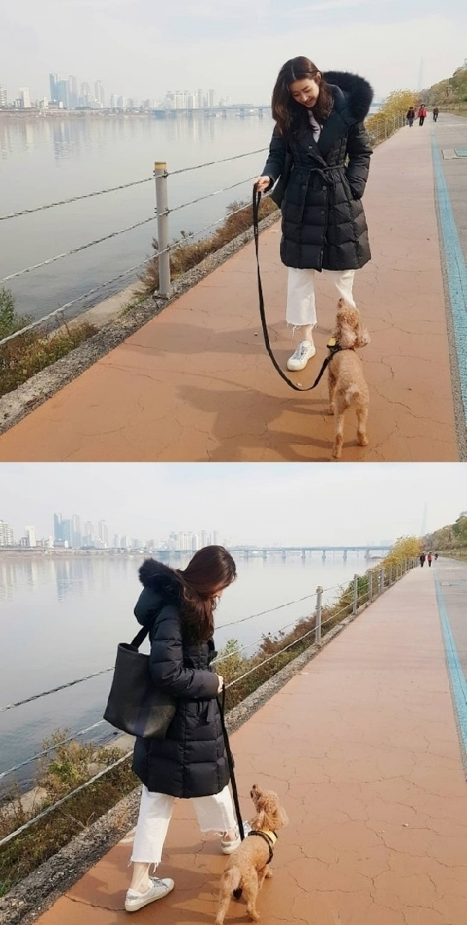 カン・ソラ、愛犬と散歩