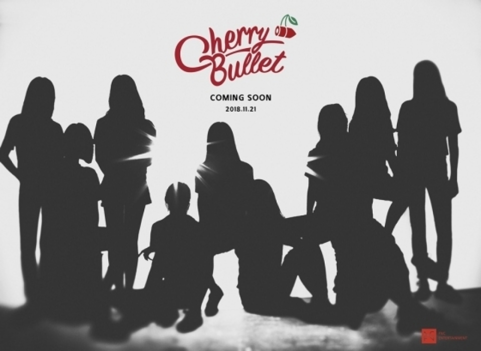 FNC、新人ガールズグループCherry Bullet来年デビュー（公式）