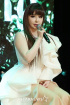  BOM、悪質なネットユーザーを告訴…「強力対応する」