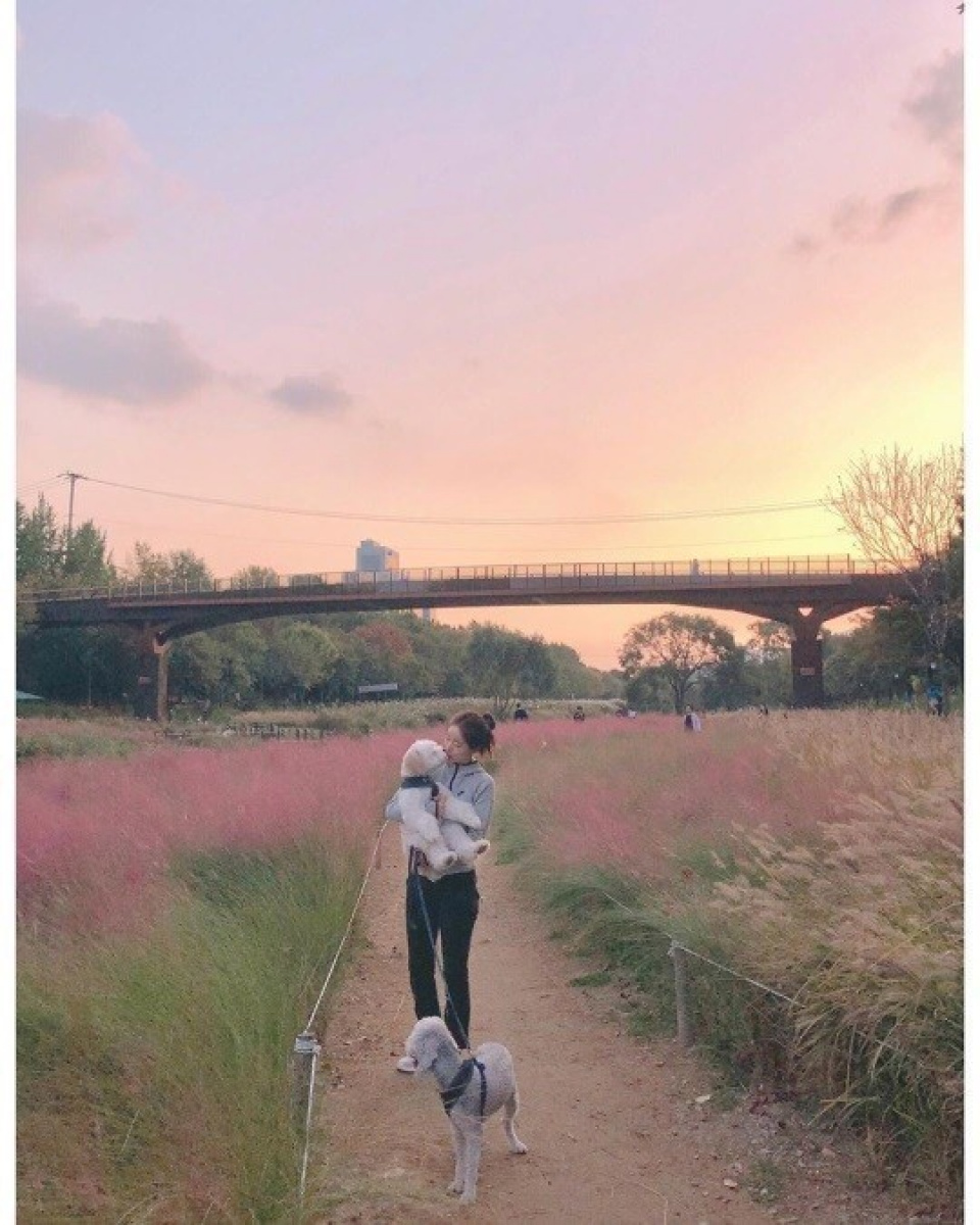 ホン・スア、愛犬との散歩ショットを公開