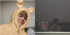 NU'EST ミンヒョン、自撮り写真公開「なぜずっと見つめるの。恥ずかしい」