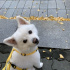 RM、愛犬のキュートな写真が大反響