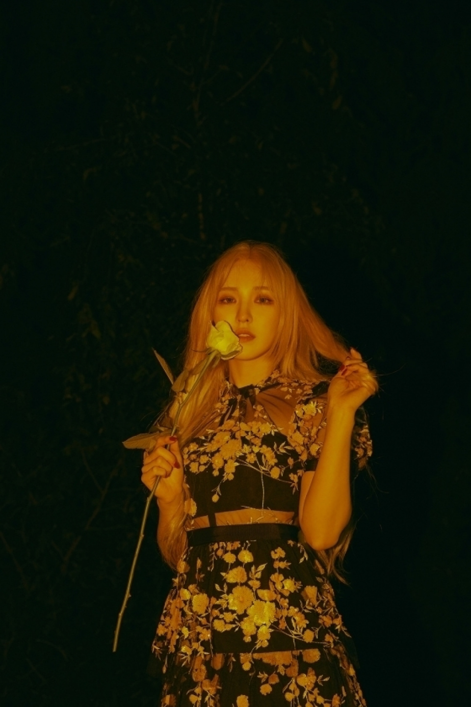 Red Velvet、グループとして年末の歌謡祭への出演が不可能に
