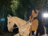 キム・ゴウン、イ・ミンホと白馬に乗りときめきを誘発