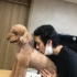 EXO セフン、愛犬ムッシュにキス