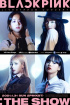 BLACKPINK、ライブストリームコンサートを来年1月に延期 