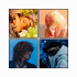 BIGBANG、2日連続主要チャートを席巻…YouTube 24時間以内最多記録