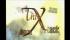 TRAX、デビュー曲「Paradox」のMVが高画質に