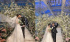 ハン・ドングン、美貌の花嫁公開「幸せに暮らします！」