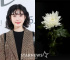 チョン・ヒョソン、菊の花で故フィソンを哀悼