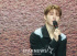 iKON出身B.I、131レーベルを率いる代表プロデューサーに