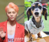 SHINee故ジョンヒョンの愛犬、15歳で天国へ