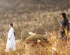 『黄眞伊』194日間の撮影終わり、6月公開
