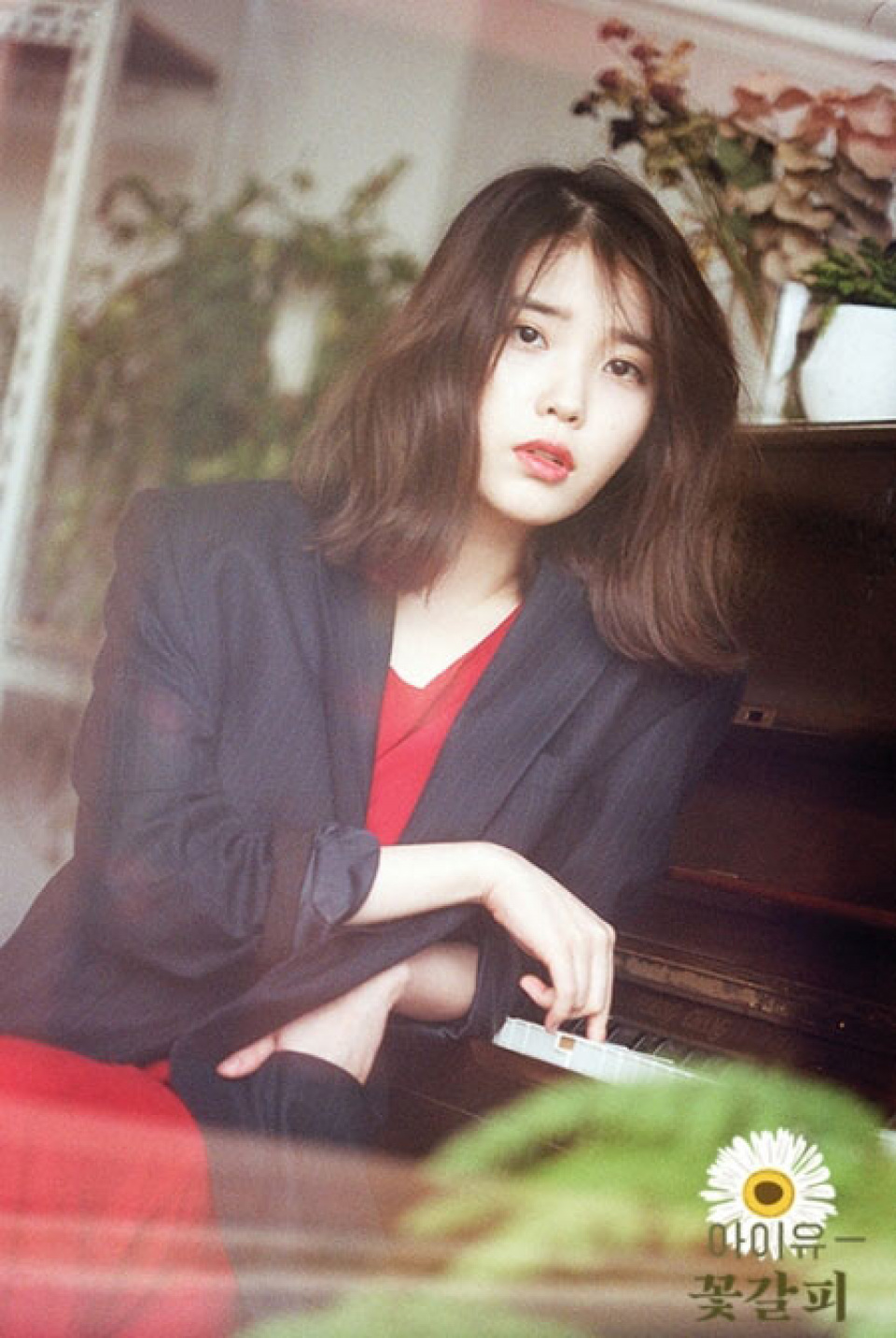 IU アイユー / 花しおり (韓国盤) アルバム 韓国音楽 IU (アイユー) - リメイクアルバム 「花しおり3」 | CD 女性
